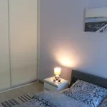 Baltica Z Ogrodkiem *