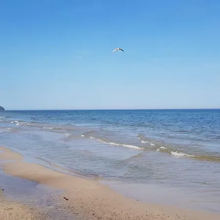 Baltica Z Ogrodkiem